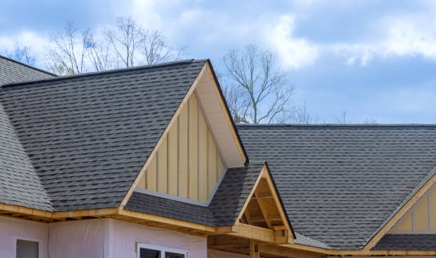 Best Green or Eco-Friendly Roofing Solutions  in Coyne Center, IL