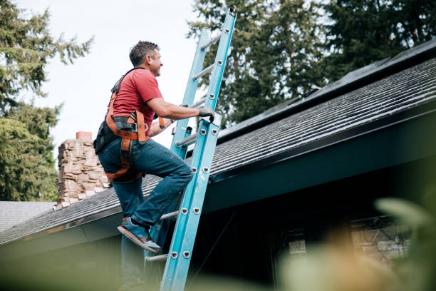 Best Commercial Roofing Services  in Coyne Center, IL