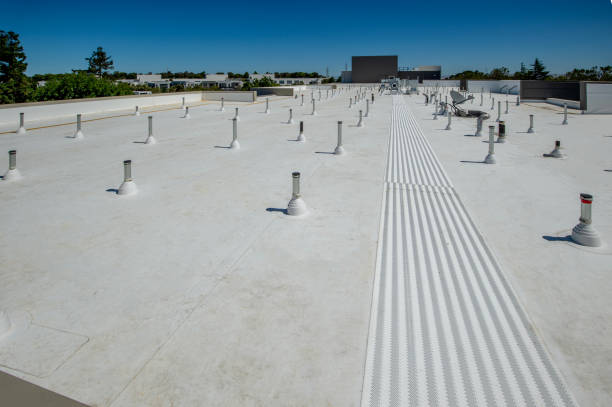 Best Asphalt Shingle Roofing  in Coyne Center, IL